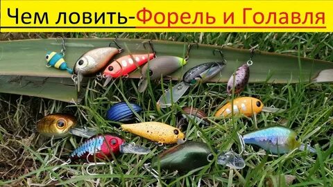 Какая приманка на голавля