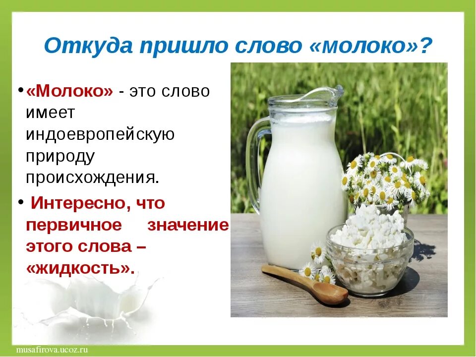 Что нужно есть чтобы было молоко. Откуда пришло слово молоко. молоко текст. что есть чтобы молоко прибывало. что нужно кушать чтобы молоко.