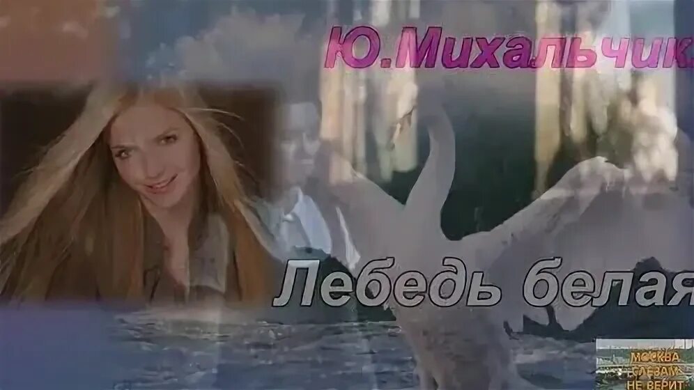 Сильная смелая песня как лебедь кто исполняет. Михальчик лебедь белая. ю михальчик лебедь. лебедь белая текст михальчик.