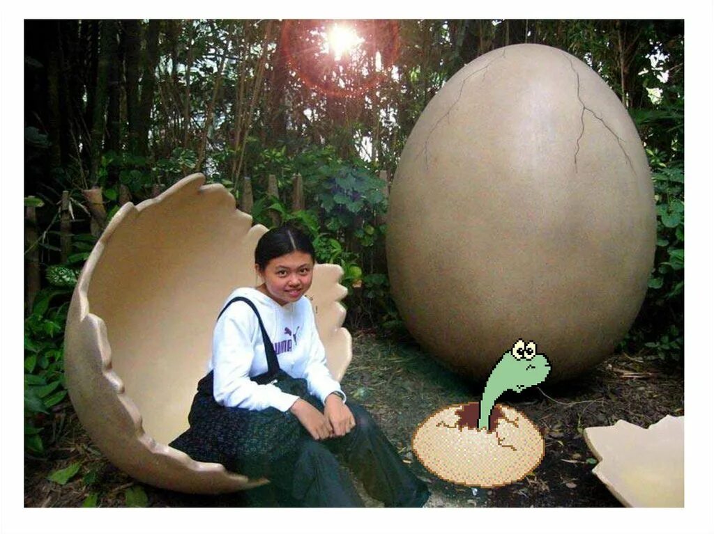 Русские огромные яйца. Яйцо большое. Самые крупные яйца динозавров. Самое большое яйцо динозавра.