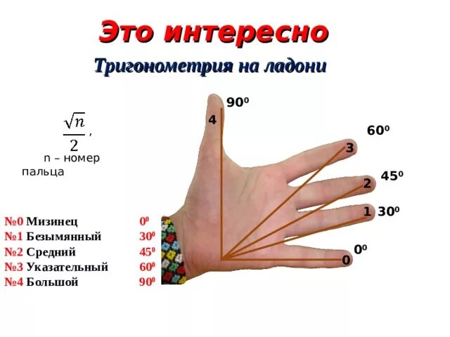 Как выучить таблицу синусов