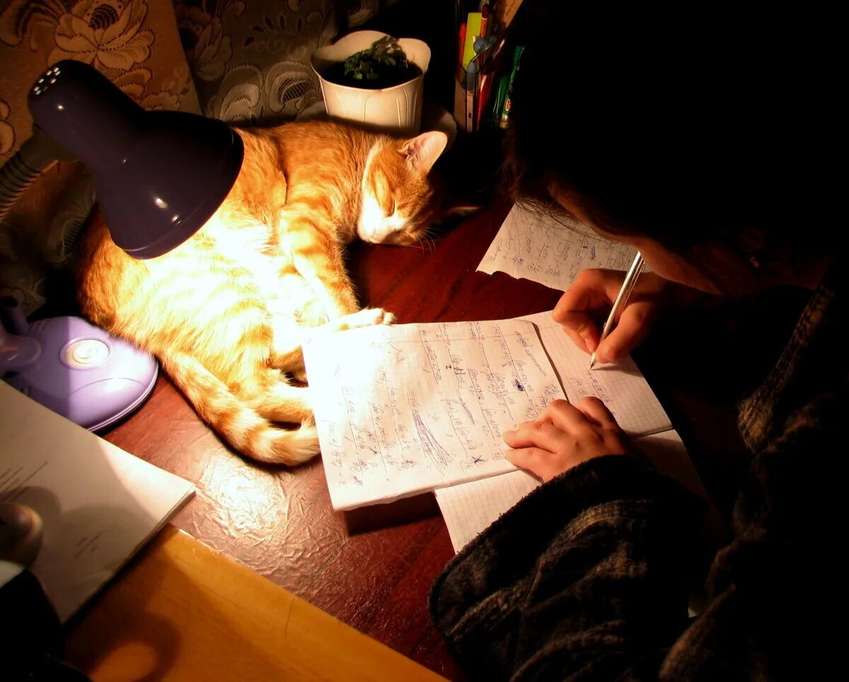 Учеба ночь. Уроки ночью. вечер за уроками. домашнее задание ночью. эстетика учёбы ночью.