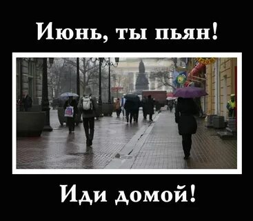 Навигатор я иду домой