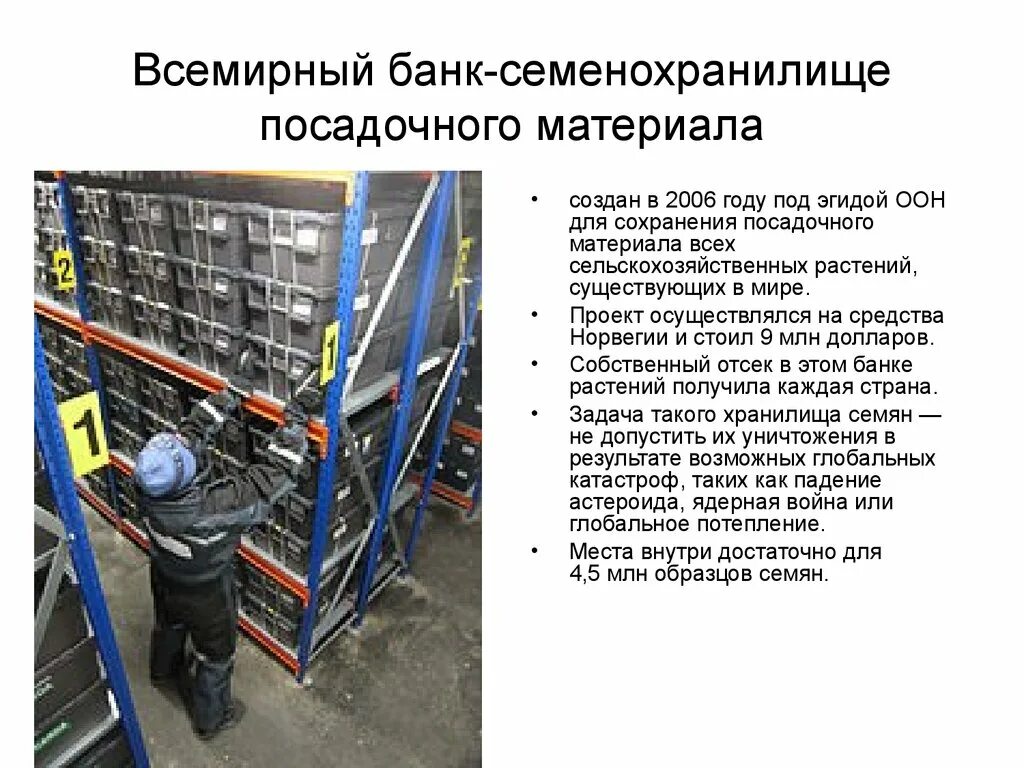 Где находится хранилище семян. Всемирный банк посадочного материала. всемирное семенохранилище контейнеры. схема всемирного семенохранилища\. схема здании семенохранилище.