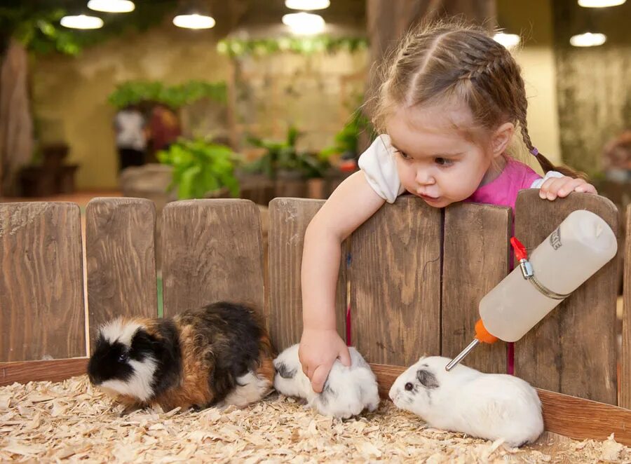 Как заботиться о маленьких. Домашние животные для детей. Контактный зоопарк. Дети с домашними животными. Забота о животных.