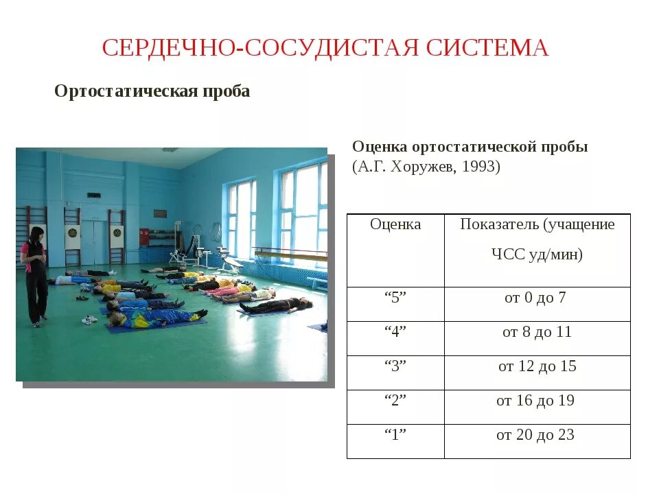 Новосибирск проб. Ортостатическая проба оценка результатов. Ортостатическая проба методика проведения. Ортостатическая проба норма. Оценка ортостатической пробы таблица.