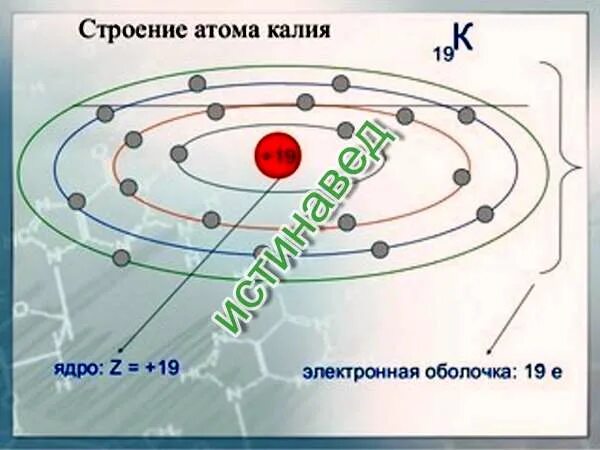 Три атома калия. Структура атома калия. Конфигурация атома калия. Схема строения электронной оболочки атома калия. Строение ядра калия.