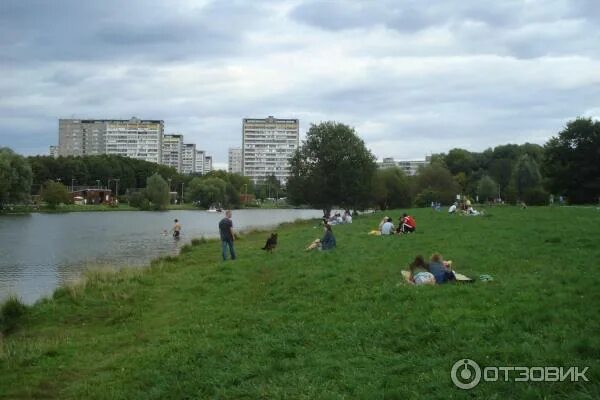 Пляж в Терлецком парке. Футбольное поле в Терлецком парке. Терлецкие пруды ночью. Черепахи в Терлецком парке.