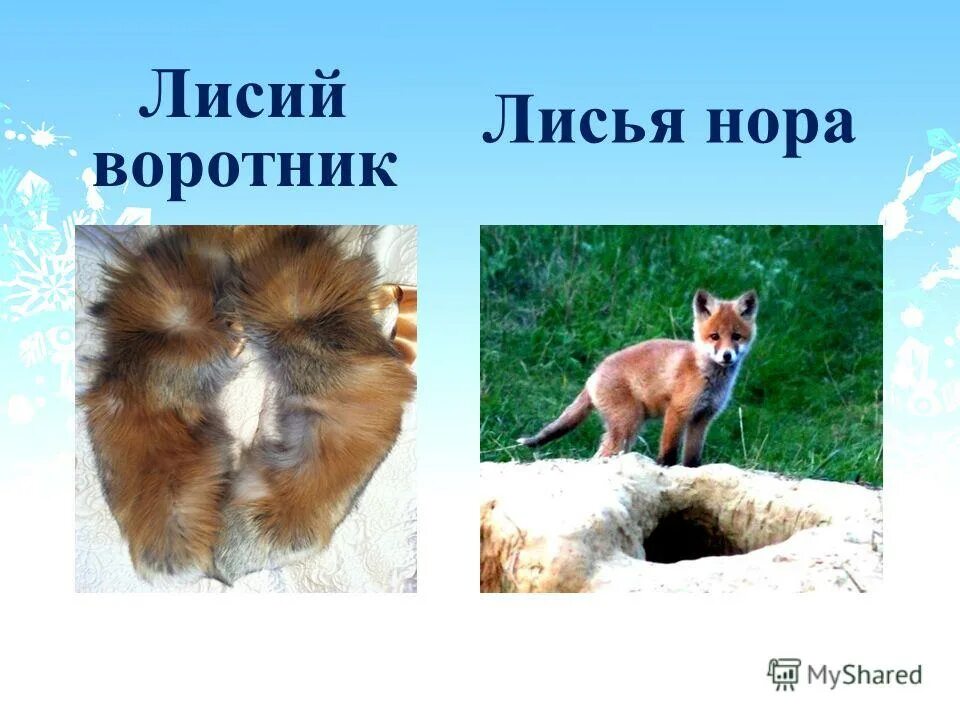 вопросы прилагательного по падежам. лисий хвост разряд прилагательного. лисий воротник какое прилагательное. разряды прилагательных. гусиное перо разряд прилагательного.