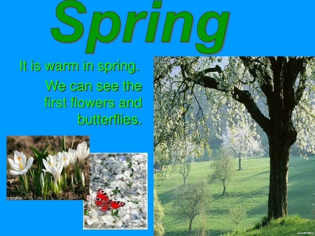 Was the best in spring. In Spring или in the Spring. In Spring we can. In Spring i ответ на вопрос what do you do in Spring. Can we do in Spring.