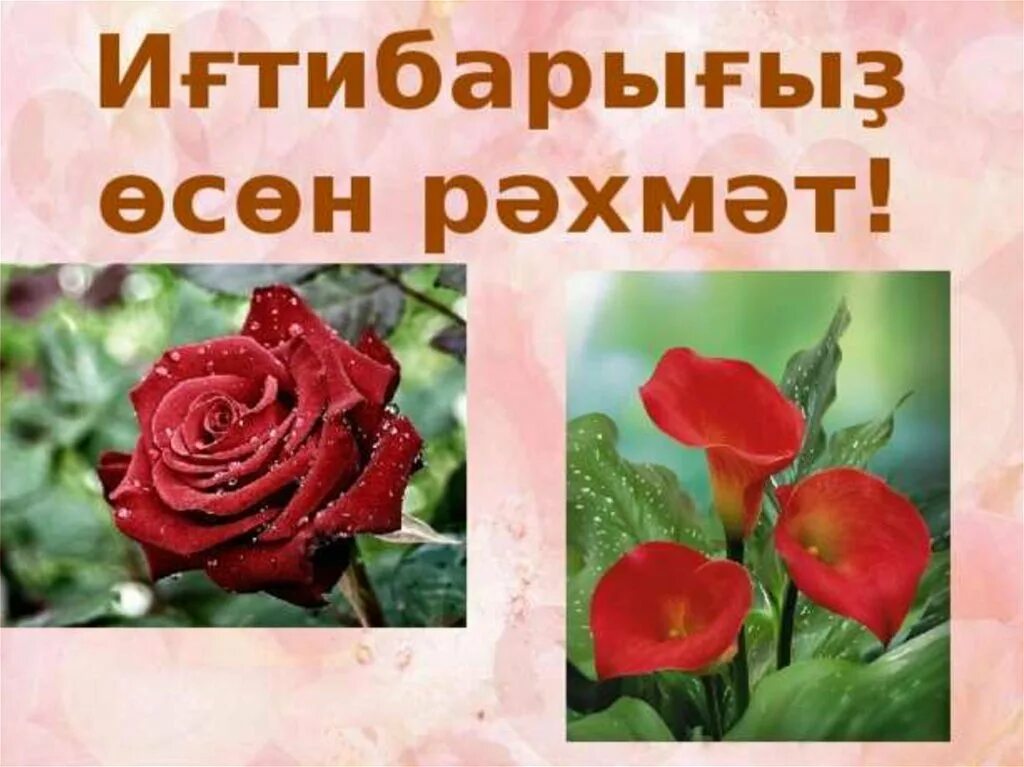 Спасибо на башкирском. Спасибо за внимание на башкирском. спасибо за внимание на татарском. благодарим за внимание на татарском. спасибо за внимание на башкирском языке для презентации.