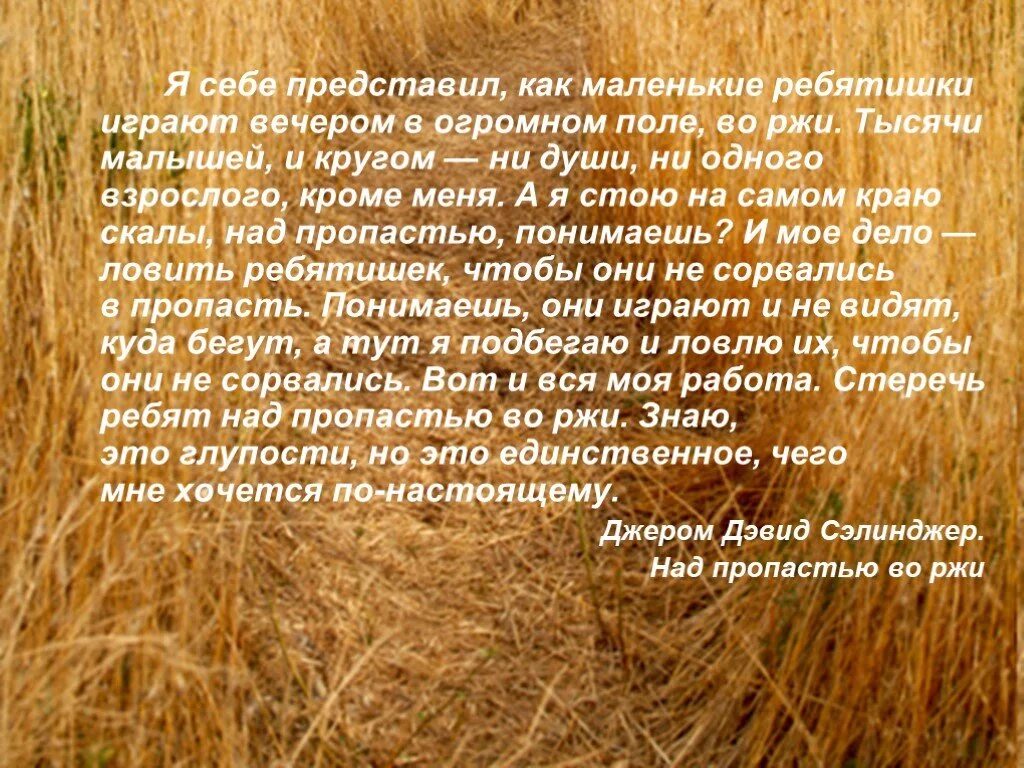 Над пропастью во ржи иллюстрации. Над пропастью во ржи сюжет. Дж Сэлинджер над пропастью во ржи. Над пропастью во ржи книга. Во ржи книга краткое содержание