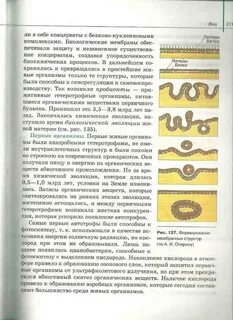 Биология 10 класс 10 параграф
