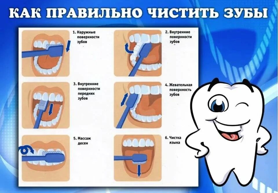 Как почистить зубы без зубной щетки. Схема правильной чистки зубов. памятка как чистить зубы для детей. алгоритм чистить зубы для детей. правила как чистить зубы для детей картинки.