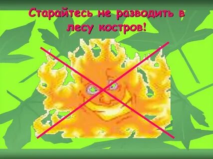 Где в лесу запрещено разводить костры