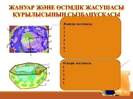 Порнодағы кіші Роберта Дауни