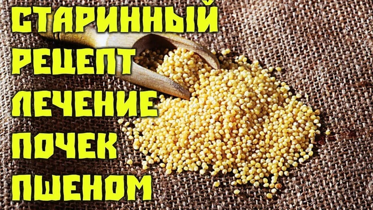 Пшено и камни в почках. Отвар пшенной крупы. Почки вылечим пшеном. Лечение почек старинный рецепт. Пшено для почек.