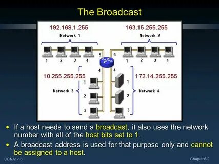Bit host