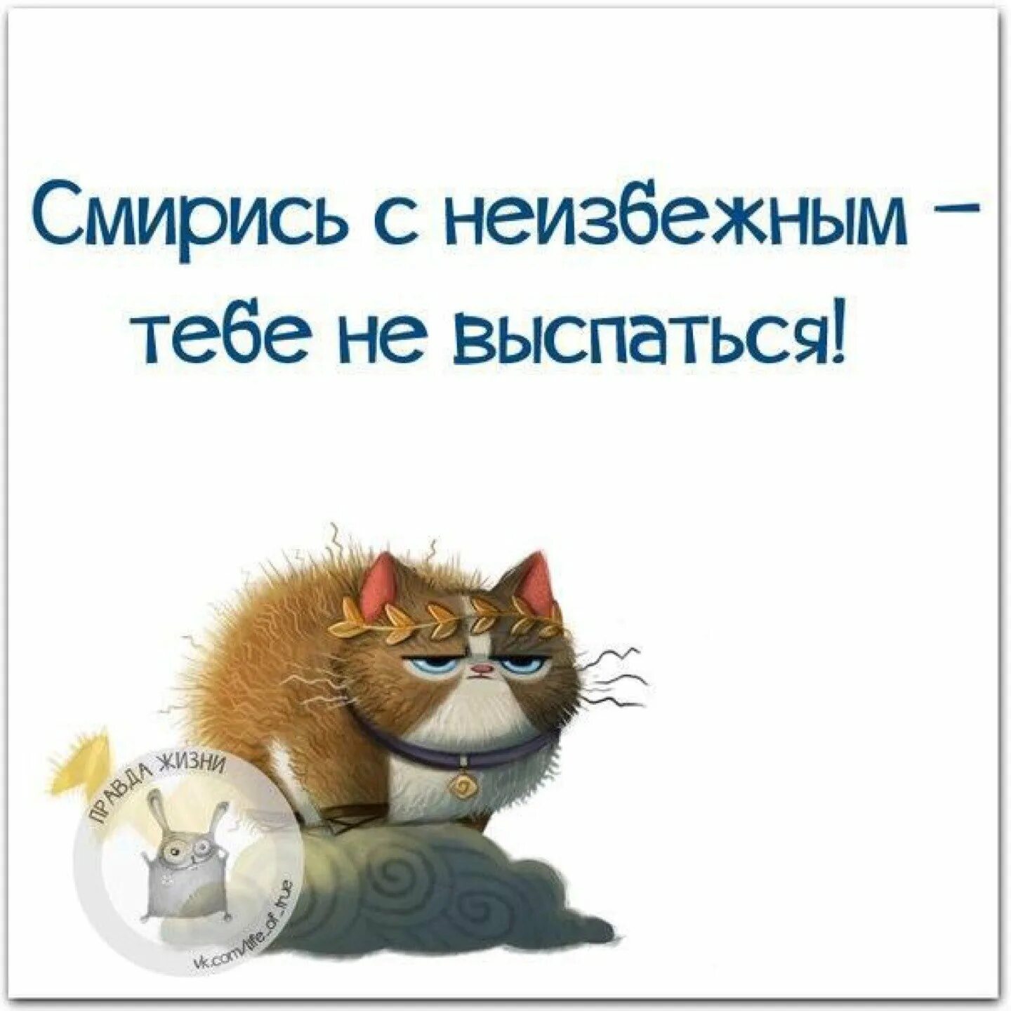 Ну выспалась. Шутки про выспаться. смирись с неизбежным тебе не выспаться. желаю всем выспаться. открытки выспалась.