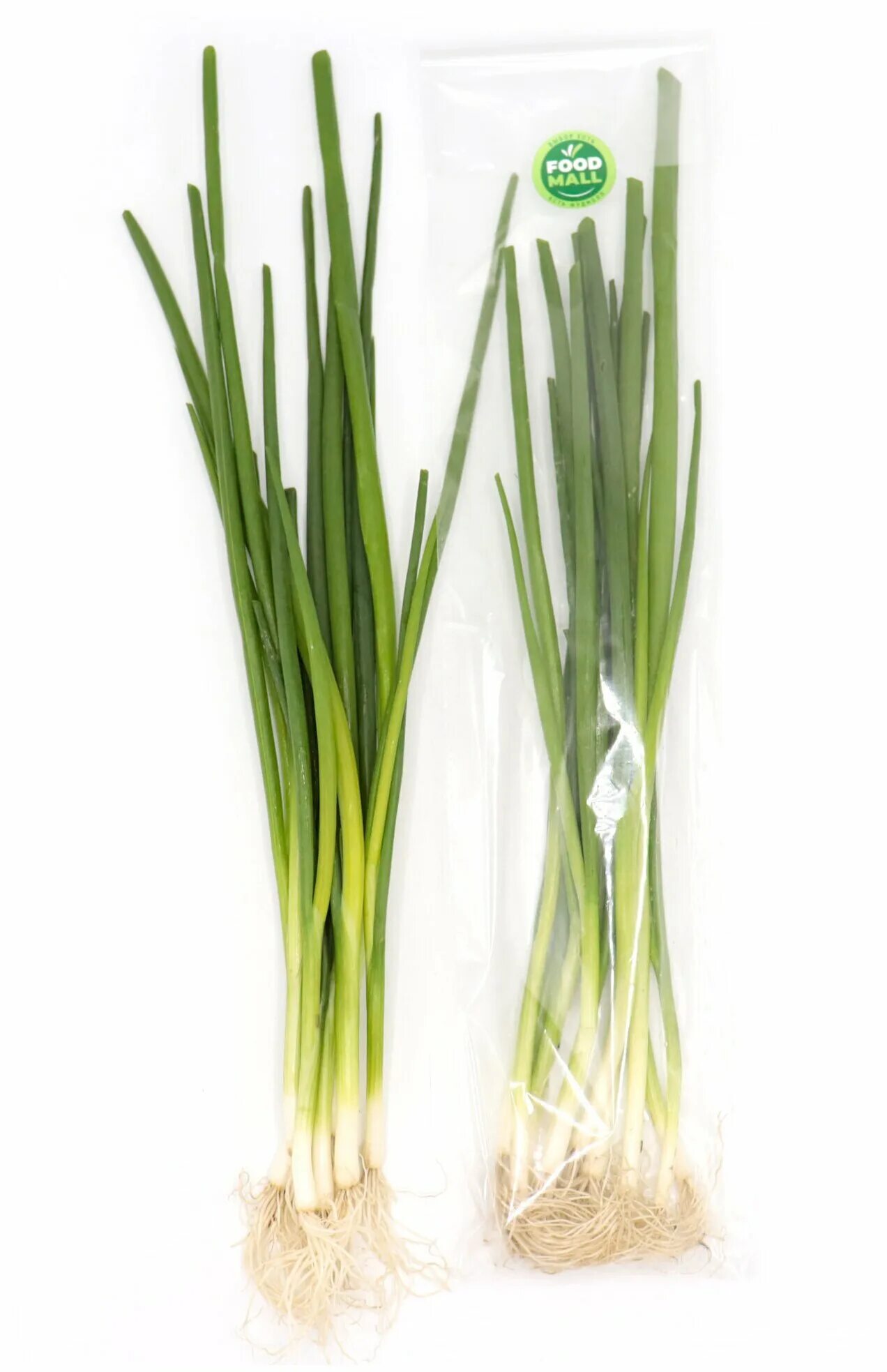 Зеленый лук витамины. Какие витамины в луке. Зеленый лук витамины. Витамины содержащиеся в луке. Чем пооещен зелёный лук.