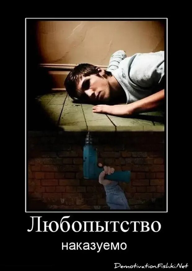 Выражение любопытство. Цитаты про любопытных. про любопытных людей высказывания. любопытный человек. любопытство цитаты.