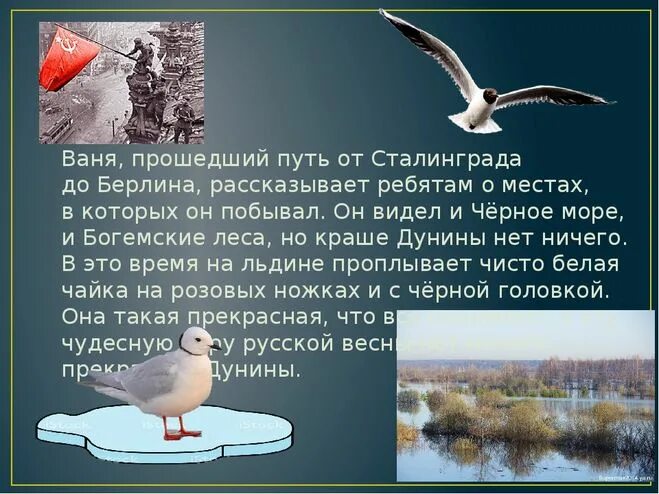 Пришвин рассказ река. Рассказ Михаила Пришвина «Москва-река». М М пришвин Москва река. Пришвин Москва река краткое содержание. Пришвин река.