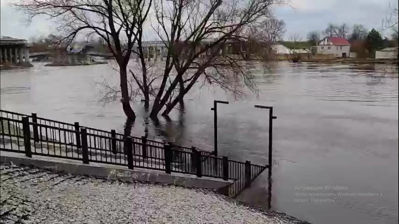 Уровень воды в десне брянск 2024 сегодня. Разлив десны в Брянске. Брянск паводок. Уровень воды в Десне в Брянске. Половодье в Брянске.