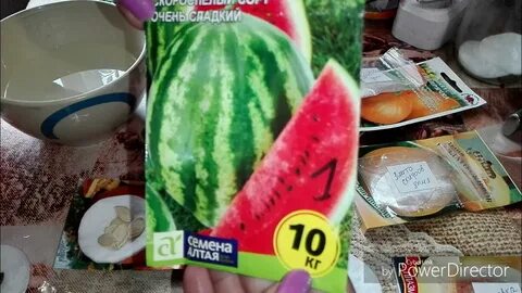 Замачивать ли семена арбузов перед посадкой