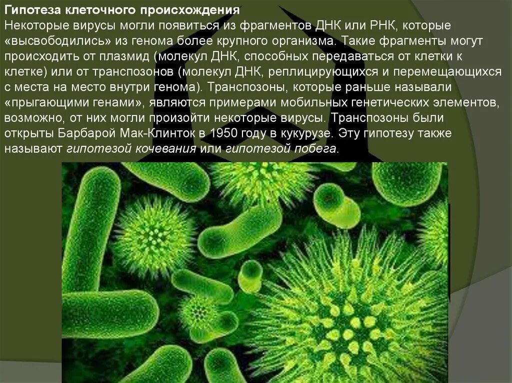 Гипотезы происхождения вирусов. Происхождение вирусов. Теории возникновения вирусов. Происхождение вирусов на земле.