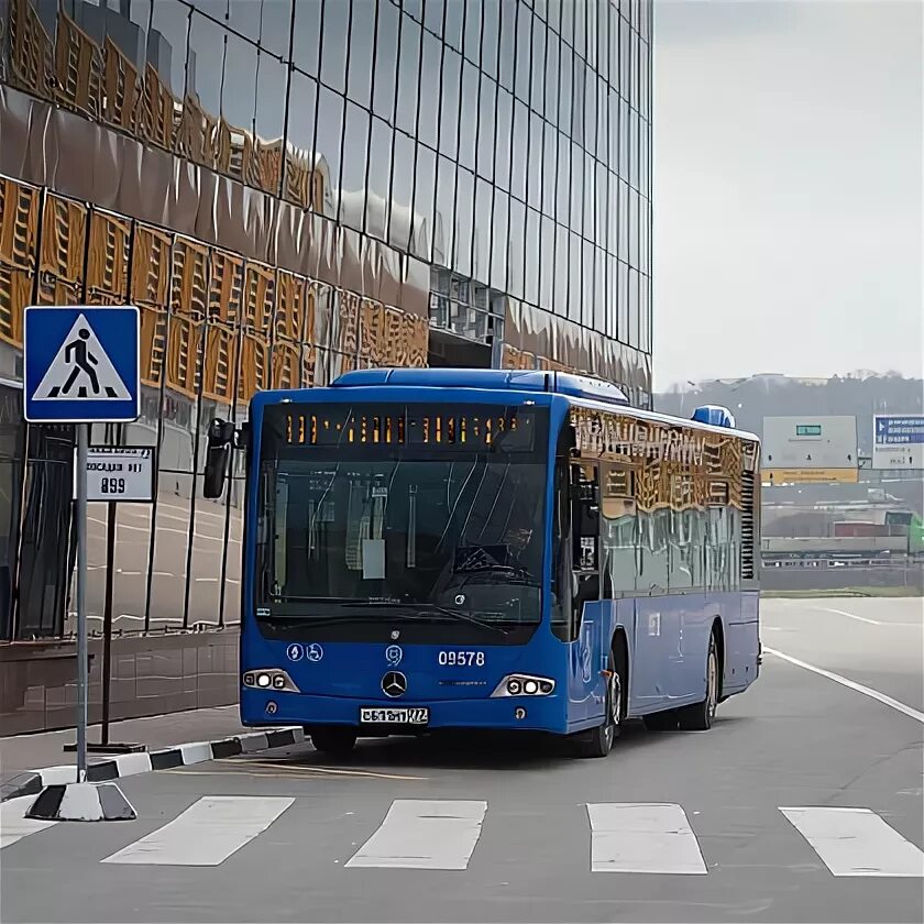 Международный автовокзал Москва. Бесплатный автобус на Южные ворота. Направление перевозок автовокзала Южные ворота. Как выглядят маршрутки бесплатные до южных ворот в Москве. Автовокзал столичный купить билет