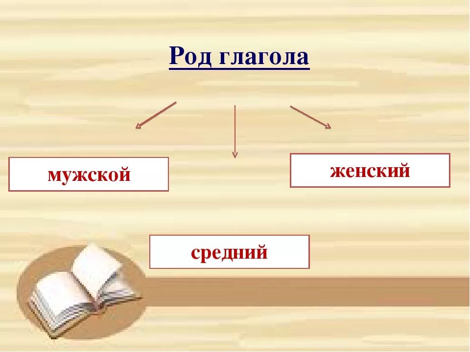 Род глагола. Глаголы среднего рода. Род глаголов в русском языке. Как определить род глагола.