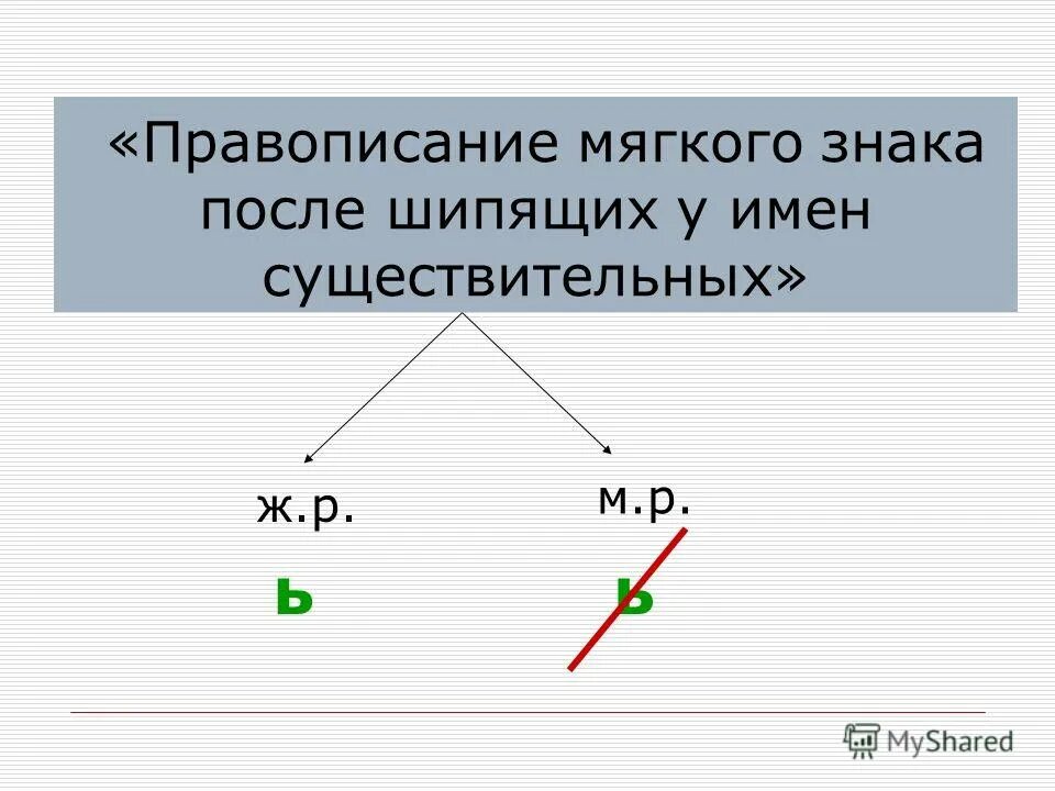 Формы существительных в русском языке 3 класс