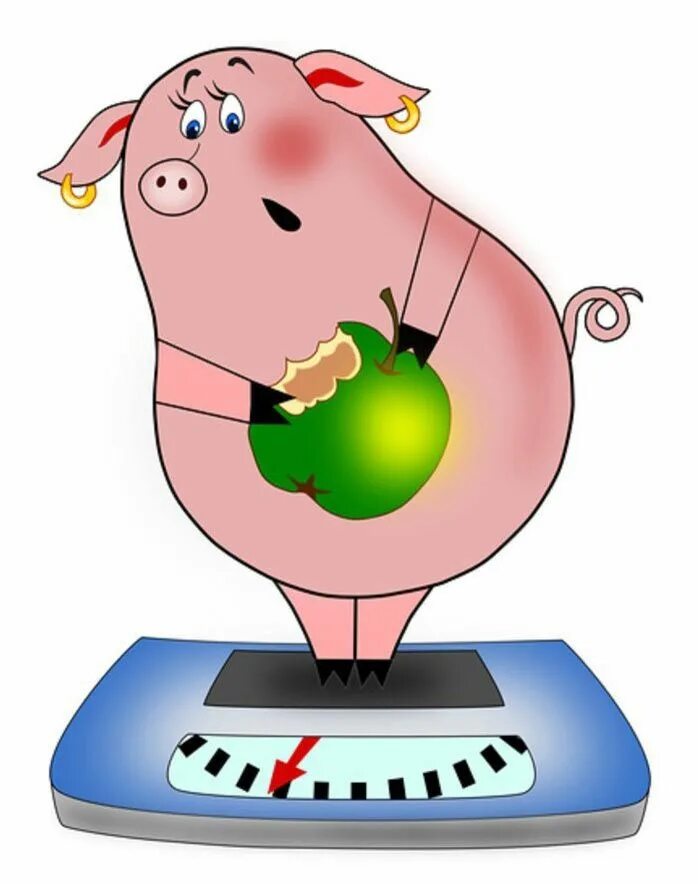 Свинка похудение картинки. Свинка худеет. Свинка худеет. Ты свинья. Свинка худеет.