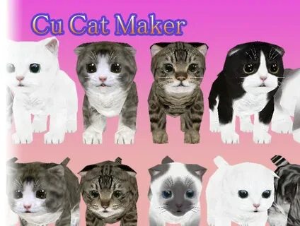 Friend maker cat