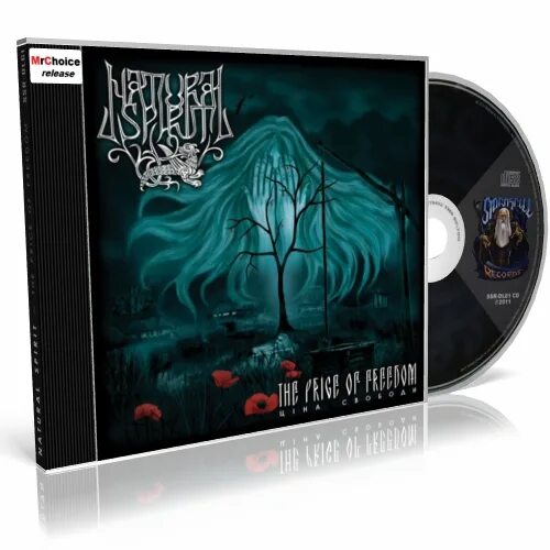 Natural spirit колыбельная. Natural spirit солистка. натурал спирит группа. виктория базилевич natural spirit. Natural spirit группа.