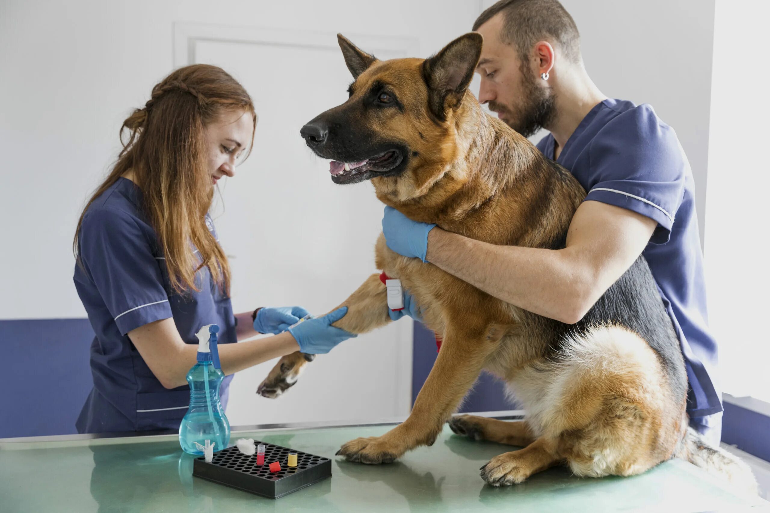 Pet ex. Ветеринар. Ветеринар с собакой. Здоровая собака. Фотосессия ветеринара.