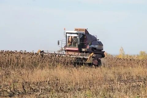 Сколько убирает комбайн