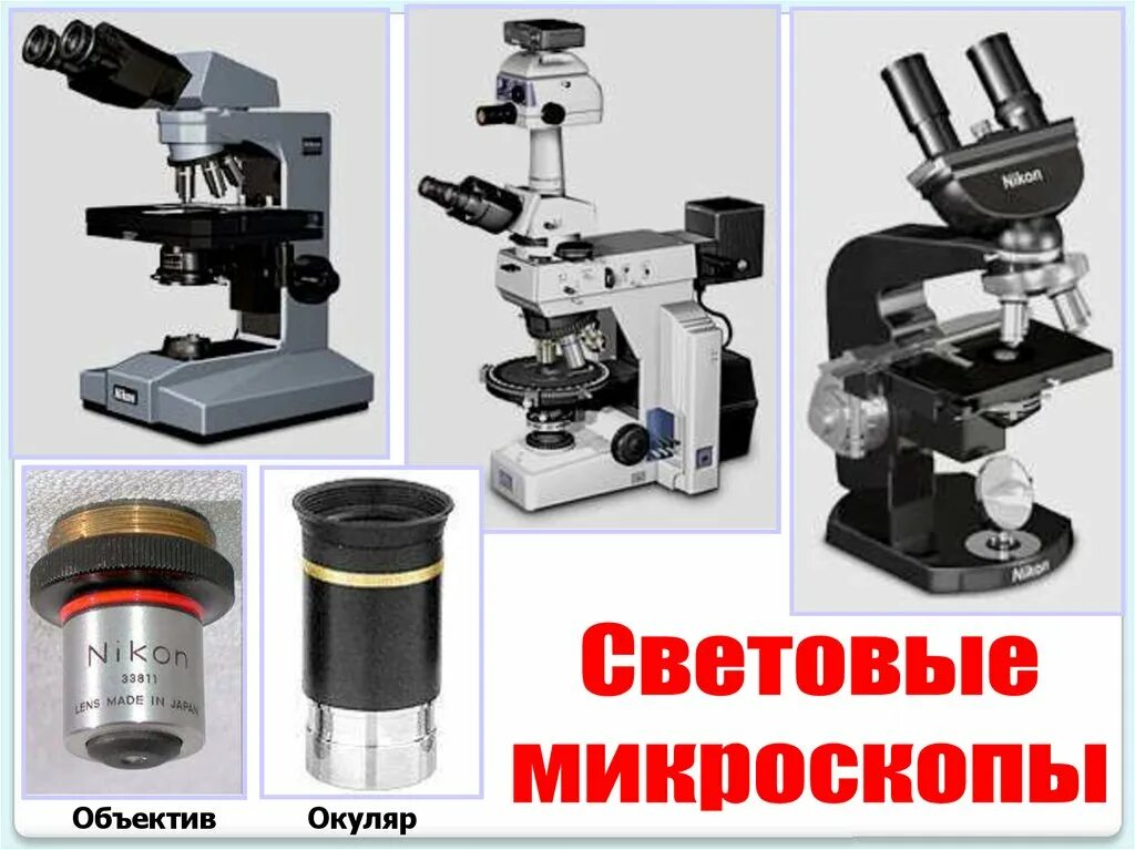 Какие бывают микроскопы виды