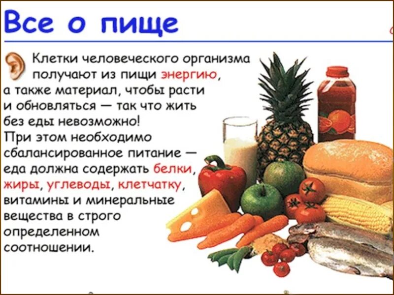 Продукты клеточного питания. Питание клеток организма человека. Питание на клеточном уровне. Что такое клеточное питание организма. Участвует в питании клеток