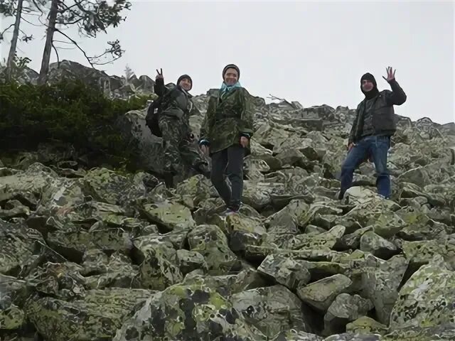 Выше 38