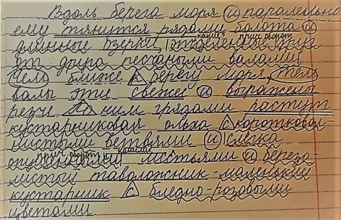 Предложение в тенистых кустах