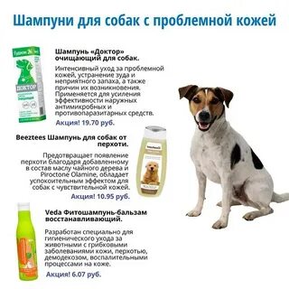 Ветеринарная прайс