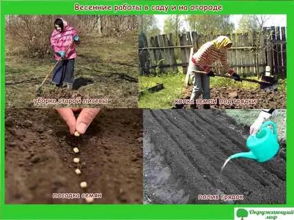Текст весенние работы