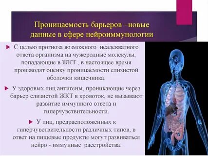 Ответ организма