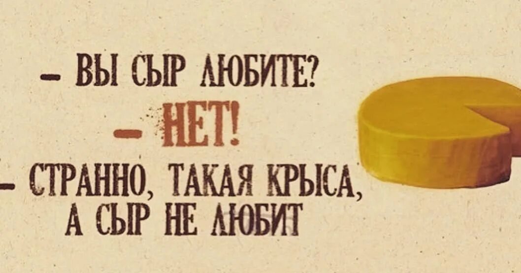 А был ли сыр. Сыр прикол. прикольные фразы про сыр. смешные высказывания про сыр. шутки про сыр.