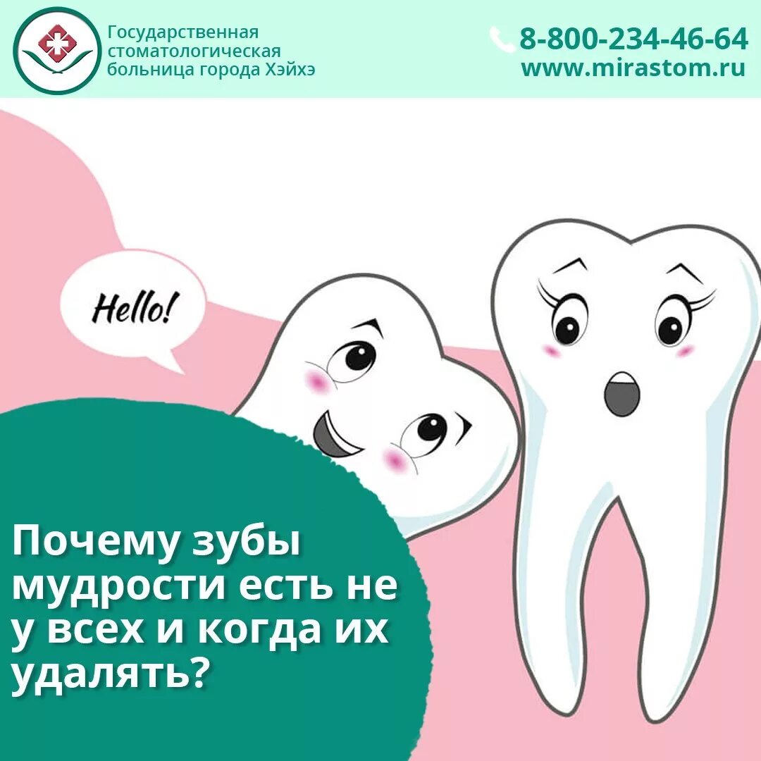 Куда девать выпавший зуб. Зуб мудрости у взрослого человека. Что делать с выпавшим зубом. Порядок выпадения молочных зубов схема. Удалённый зуб мудростт.