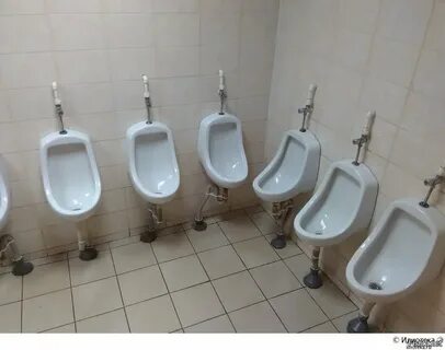 Туалеты пту