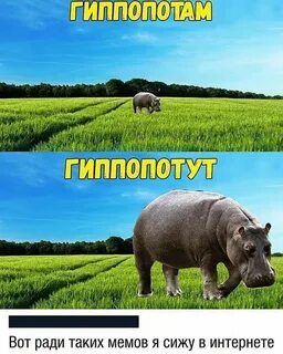 Похожие мемы