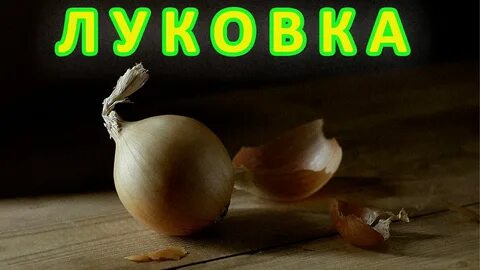 Луковка