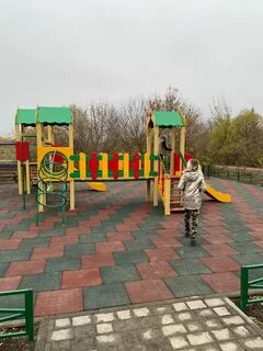 Ольшанец елец